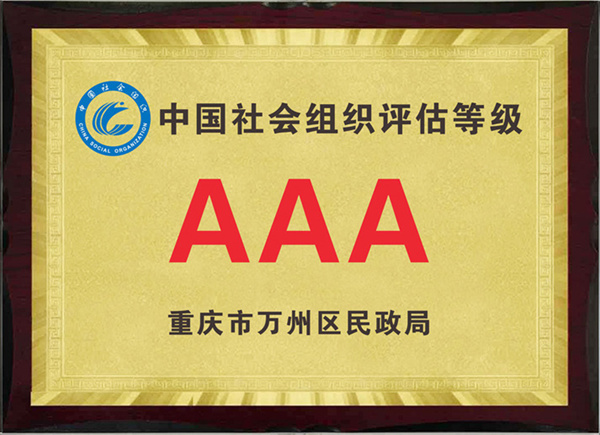 中國(guó)社會(huì)組織評(píng)估等級(jí)