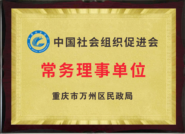 中國(guó)社會(huì)組織促進(jìn)會(huì)常務(wù)理事單位